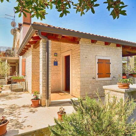 Apartments Valter 881 Novigrad Istria Dış mekan fotoğraf