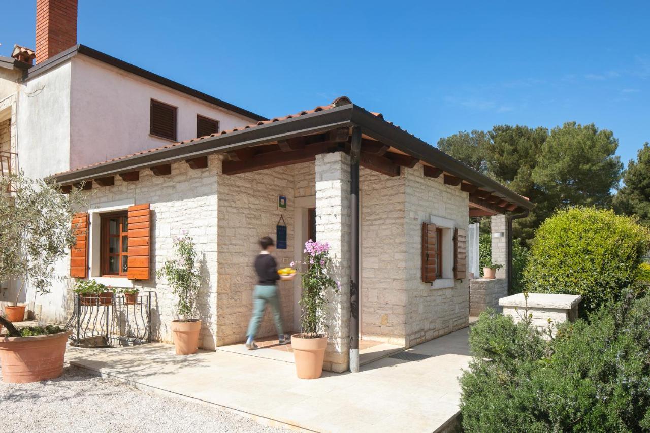 Apartments Valter 881 Novigrad Istria Dış mekan fotoğraf